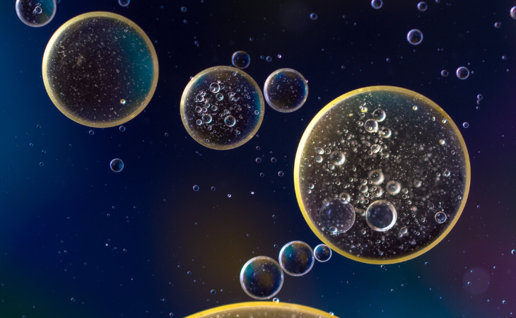 Image de : Les actifs essentiels pour traiter l’acné : ce qu’il faut savoir